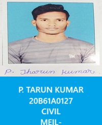 ptarun.jpg